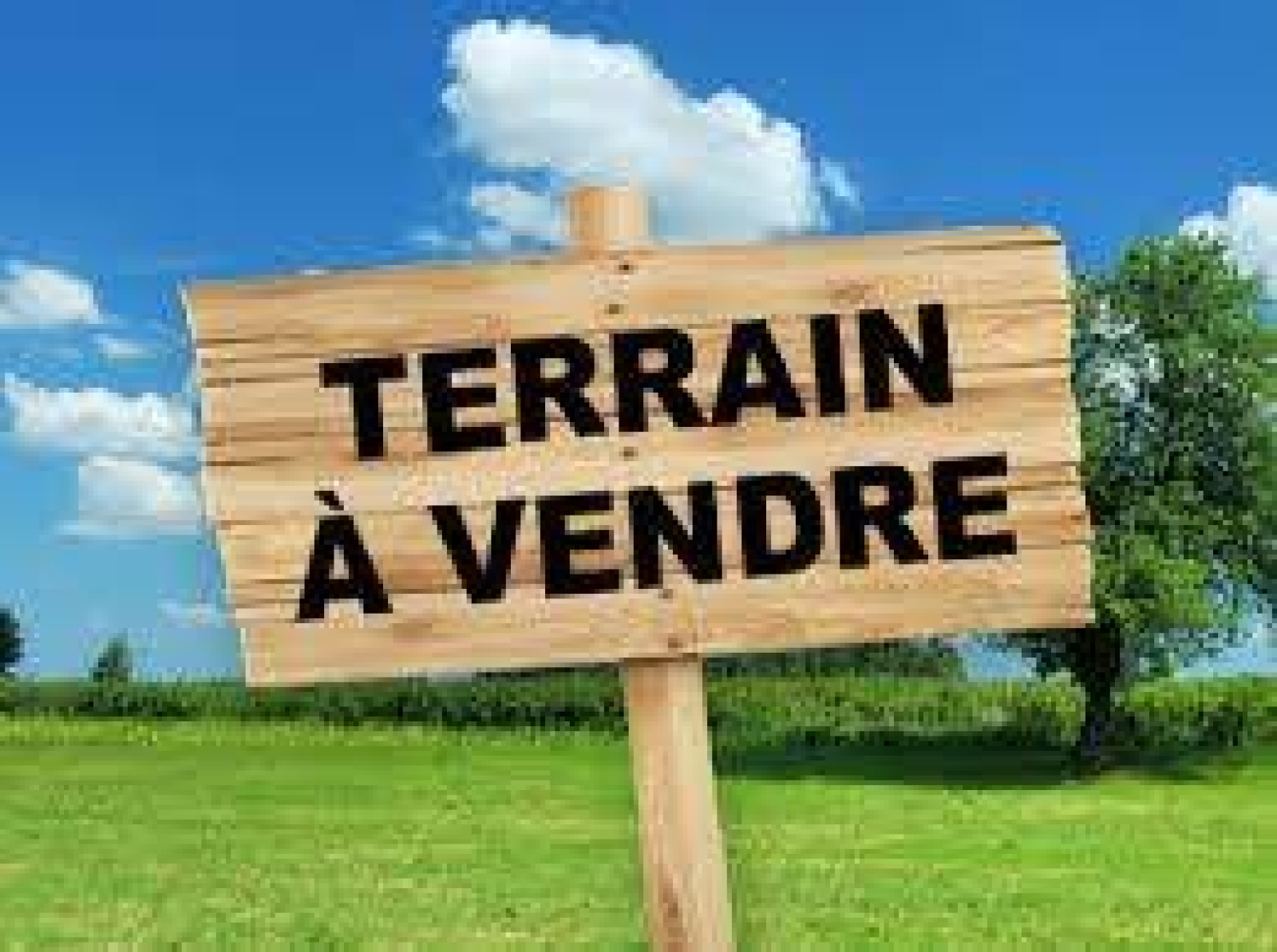 Image_1, Terrain, Quiberon,
                                ref :1561